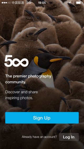 500px